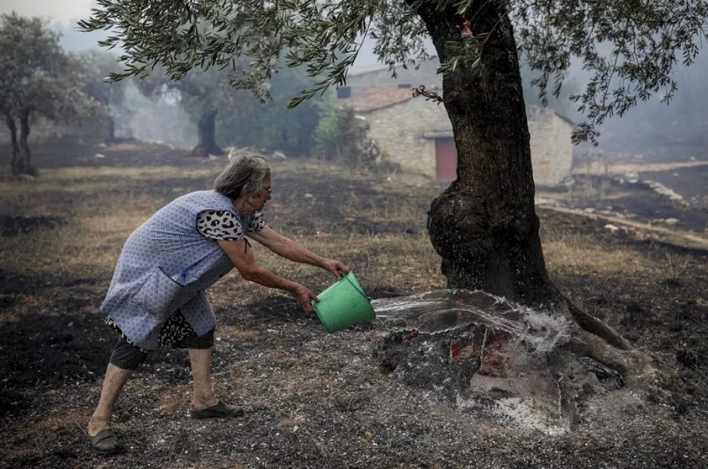 Moradora usa balde de &aacute;gua para apagar brasas em p&eacute; de oliveira em Moinhos Jo&atilde;o da Serra, em Ourem. &mdash; Foto: Pedro Rocha/AFP 