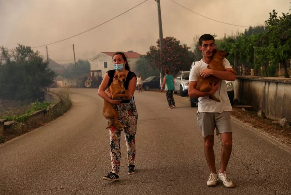 Pessoas carregam cachorros enquanto s&atilde;o retiradas de suas casas devido a um inc&ecirc;ndio florestal em Leiria, Portugal. &mdash; Foto: Rodrigo Antunes/Reuters