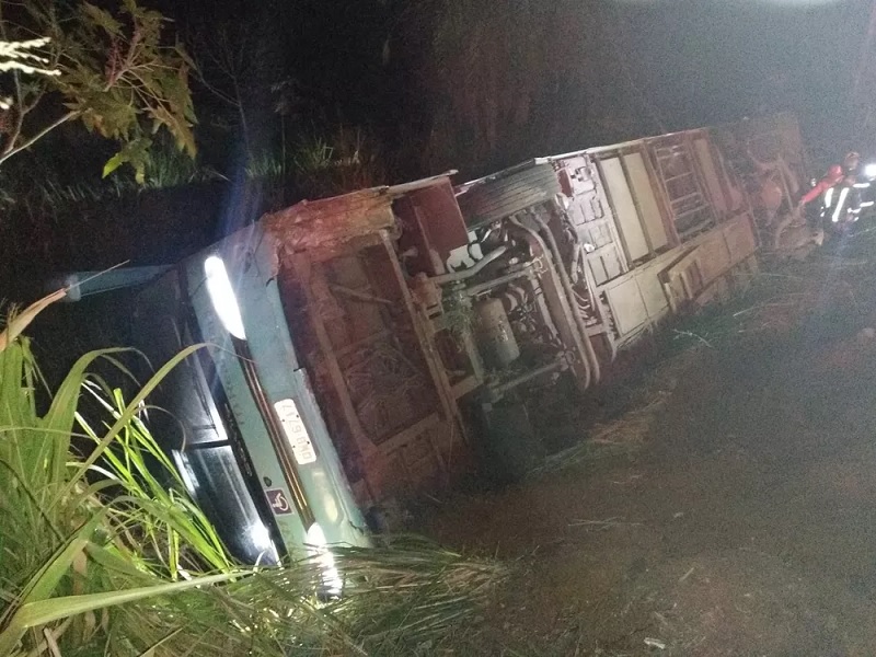 Ônibus tombou às margens de rodovia — Foto: Bombeiros/Divulgação 