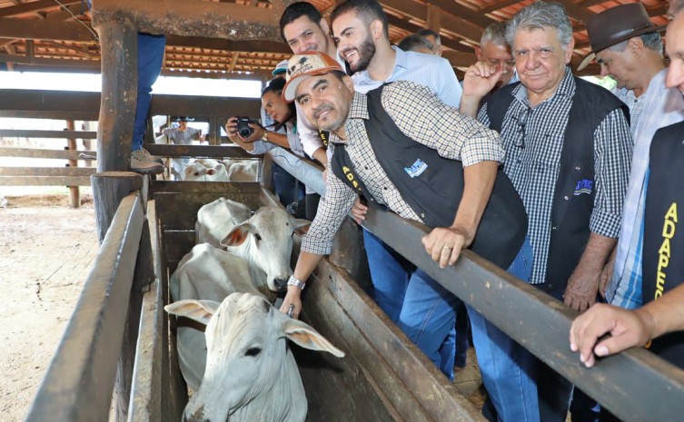 Governador Wanderlei Barbosa destaca importância do status de Estado livre de febre aftosa durante abertura de campanha de vacinação