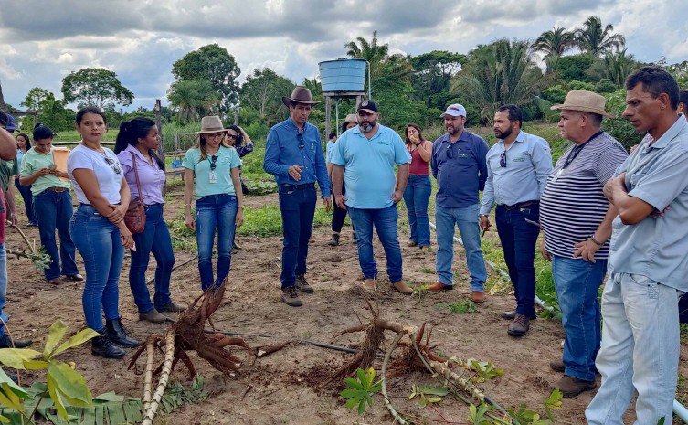 Ruraltins realiza Dia de Campo para fomentar e desenvolver cadeias da mandiocultura e olericultura na região do médio norte tocantinense