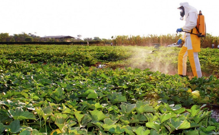 Maioria das intoxicações registradas no Tocantins são por agrotóxicos de uso agrícola - Foto: Lenito Abreu/Governo do Tocantins