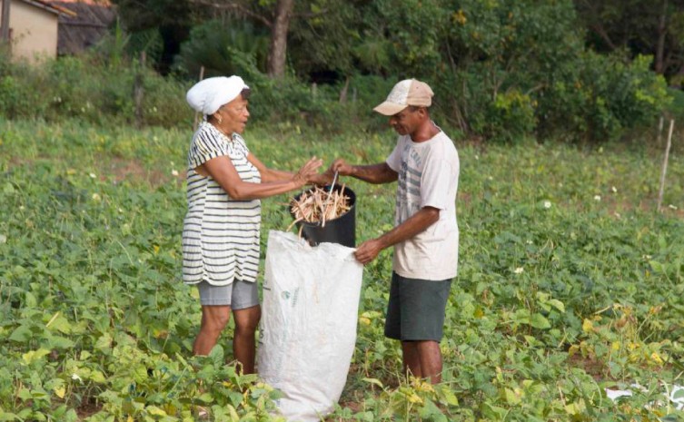 Governo do Tocantins auxilia 918 famílias de agricultores tocantinenses para serem beneficiadas no Programa Nacional de Crédito Fundiário em 2022