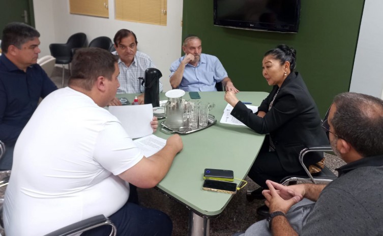 Secretária Miyuki Hyashida recebe representantes do Grupo Hadassa, o CEO Jean Petrick Garcia, o sócio Shalom Djoiloski, o diretor Ricardo Magro, o empresário tocantinense Rodolfo Rebouças e o assessor - Foto: Governo do Tocantins