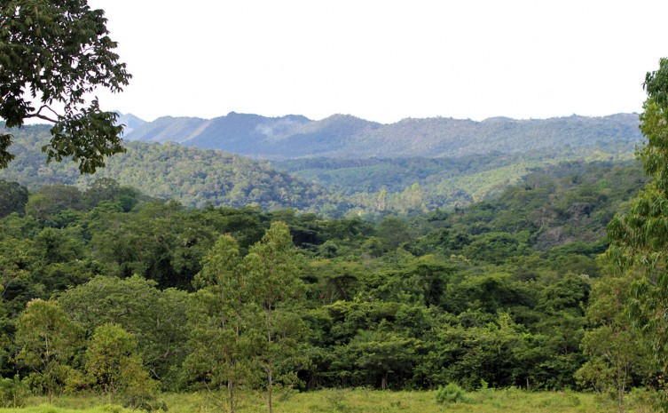 Próximo passo é a regulamentação da Lei da Pepsa, via decreto, instrução normativa e portaria - Foto: Marcel de Paula/Governo do Tocantins