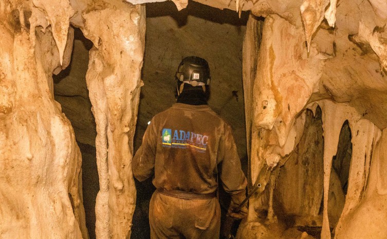 Índice de cobertura vacinal contra a raiva dos herbívoros supera expectativa com crescimento de 50% em 2022