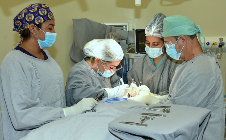 Cirurgias foram realizadas em unidades hospitalares da SES-TO, credenciadas e municipais conveniadas - Foto: André Araújo/Governo do Tocantins
