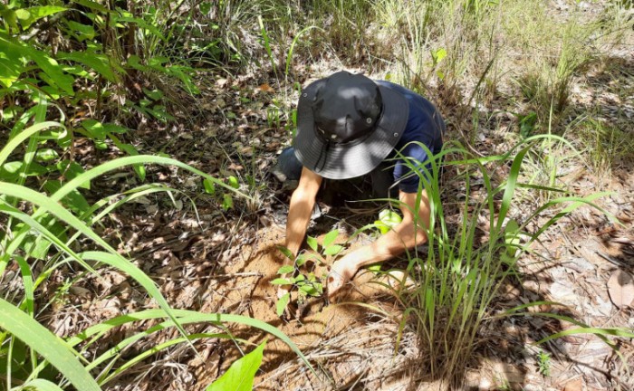 Governo do Tocantins promove ação de conscientização sobre mudanças climáticas