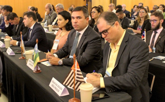 A diretora Cristiane Peres, representando o secretário da Semarh Tocantins, Marcello Lelis, no evento - Foto: Ascom Abema