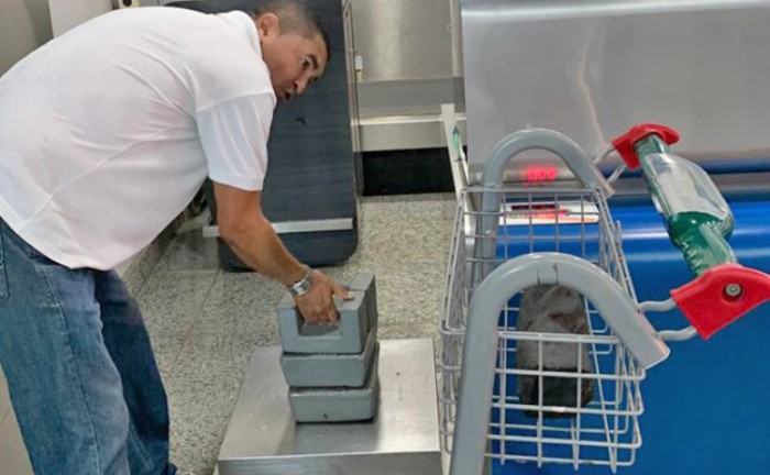 Agência de Metrologia fiscaliza balanças de pesagem de check-in do aeroporto de Palmas