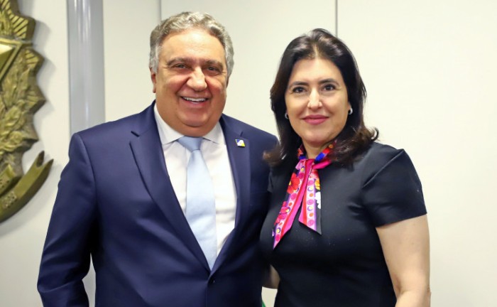 Vice-governador Laurez Moreira defende agroindústria tocantinense em reunião com ministra Simone Tebet