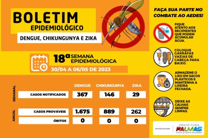 Foto: Reprodução/Prefeitura de Palmas - TO