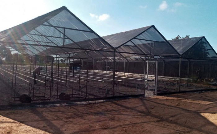 Crad-Palmas será o quarto Centro instalado no Estado com capacidade para produzir 100 mil mudas/ano - Foto: Marcel de Paula/Governo do Tocantins