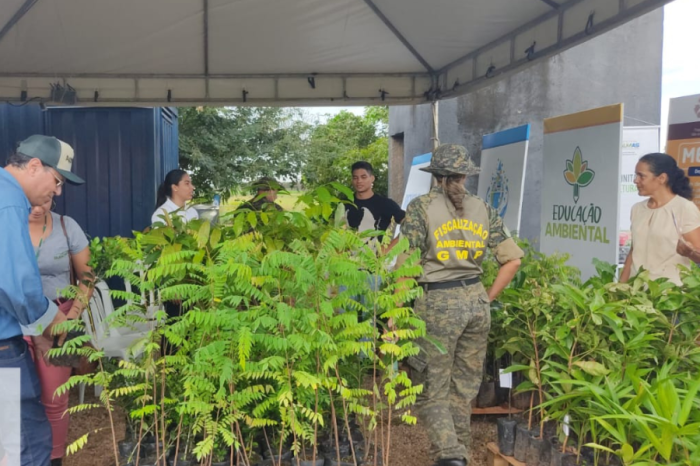 FMA deve doar à população, durante a Agrotins 2023, mais de 1 mil mudas de árvores típicas do Cerrado, produzidas no Viveiro Municipal,. - Fotógrafo:Divulgação