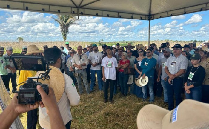 Ruraltins promove Dia de Campo do ABC Corte na Fazenda Araguaiana, em Araguatins