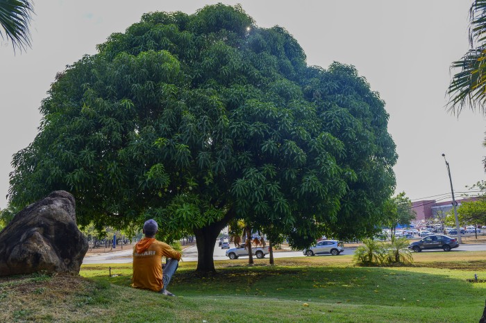 Relação entre ser humano e natureza vai estar no centro das discussões na Semana Municipal do Meio Ambiente - Fotógrafo:Lia Mara/Secom Palmas