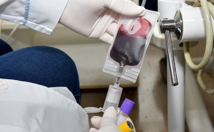 SES-TO divulga o funcionamento da Hemorrede Tocantins, no feriado prolongado - Foto: Mariana Ferreira/Governo do Tocantins