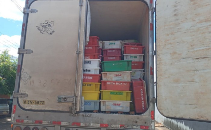 Operação do Naturatins apreende 7,2 mil kg de pescado no extremo norte do Estado