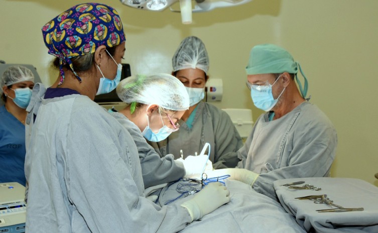 Número de procedimentos realizados em 2022 é maior número já atingido pela Pasta - Foto: André Araújo/Governo do Tocantins