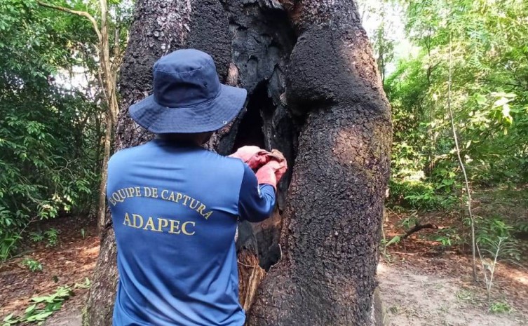 Adapec realiza ações de controle da raiva animal na Ilha do Bananal