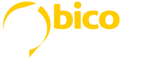 Bico Notícias - O seu portal de notícias.